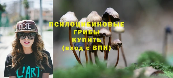 дмт Баксан