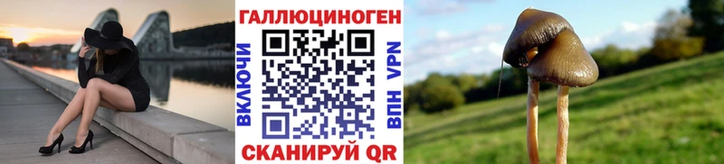 что такое наркотик  Белозерск  Псилоцибиновые грибы мухоморы 